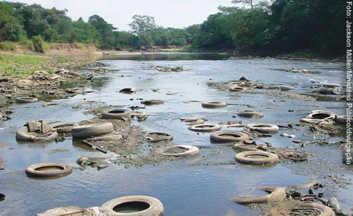 Região Metropolitana: transformado em lixão, o rio seca no verão e transborda no inverno