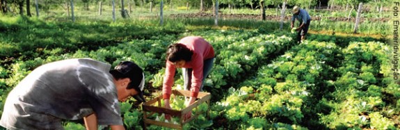 Projeto prioriza agricultura familiar na definição de beneficiários dos créditos ambientais