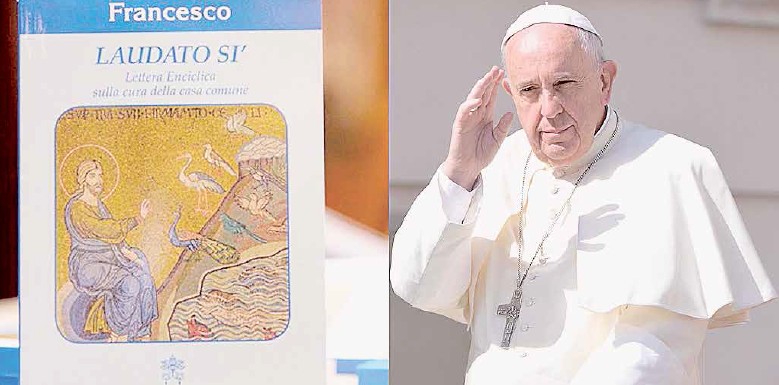 Casa Comum: a histórica encíclica ecológica do Papa
