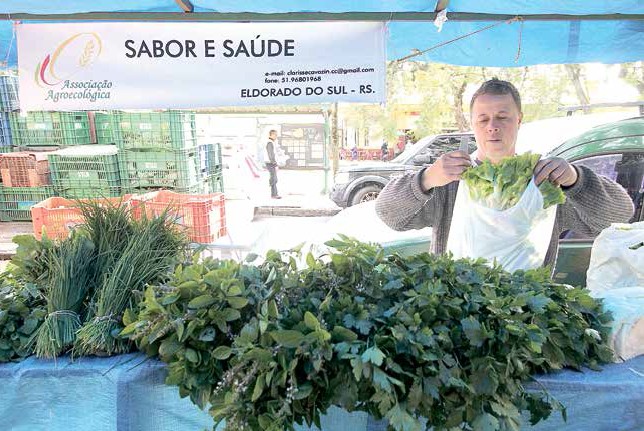 Getúlio vende em média 70 caixas de hortaliças produzidas na sua lavoura em Eldorado do Sul