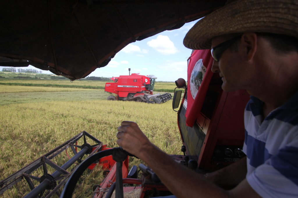 Os sem-terra são os maiores produtores de arroz agroecológico da América Latina, atividade que envolve 616 famílias em 22 assentamentos