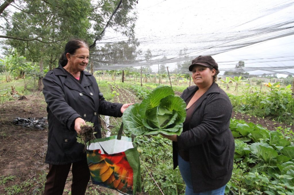 Geci e Patrícia Silva Santos produzem orgânicos no assentamento agroecológico