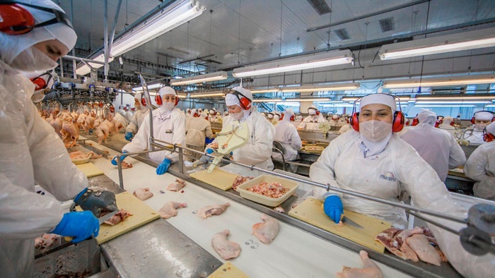 Nas indústrias de processamento de carne de frango do estado, pandemia expõe más condições de saúde e trabalho