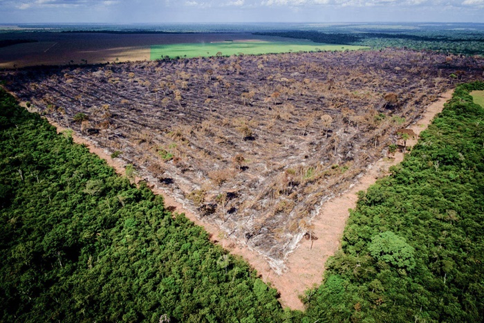 “Na MP era evidente que o foco de interesse do governo era a regularização do desmatamento, especialmente na Amazônia, da criação de gado e plantio de soja em áreas públicas, especialmente em terras indígenas e terras quilombolas ainda não regularizadas”