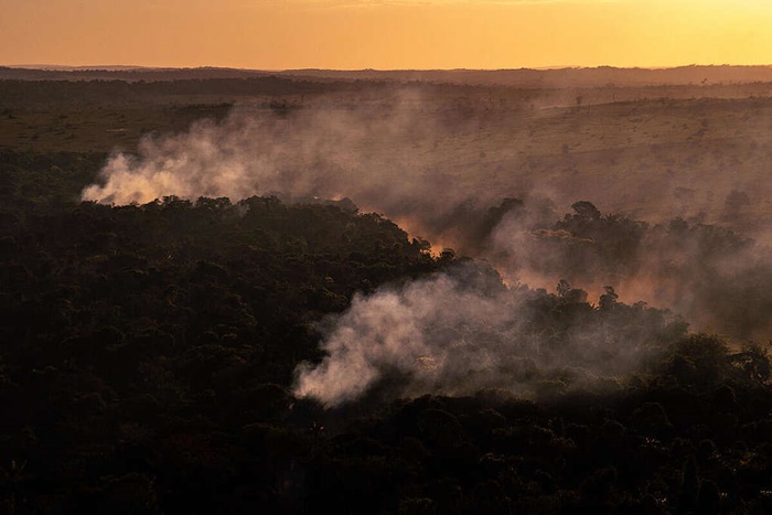 Incêndios na Amazônia aumentaram quase 30% em julho