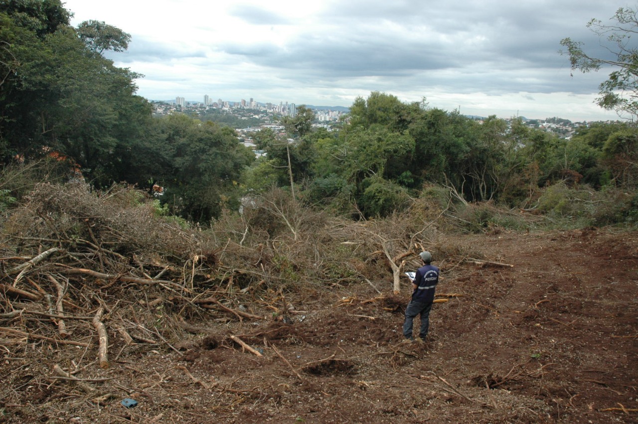 Prejuízo com desmatamento no Estado passa de R$ 16 milhões em um ano -  Extra Classe