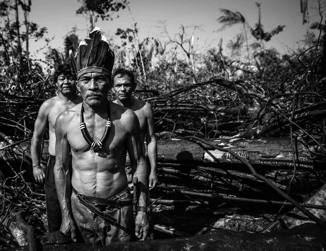 Invasão de terras indígenas mais do que dobrou no Brasil de Bolsonaro (2)