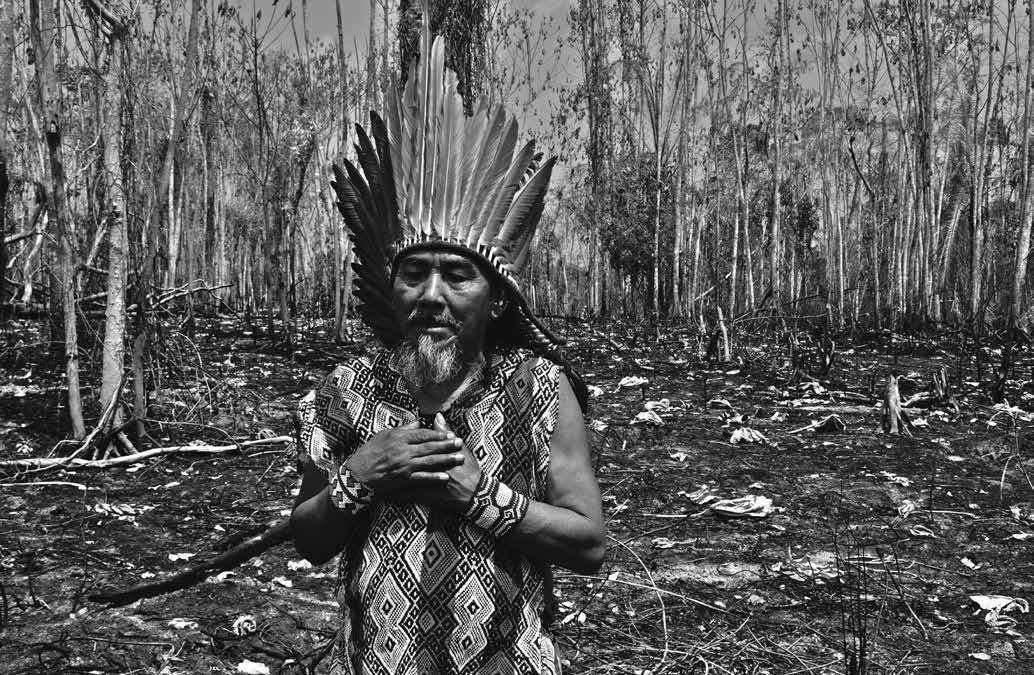 Invasão de terras indígenas mais do que dobrou no Brasil de Bolsonaro (3)