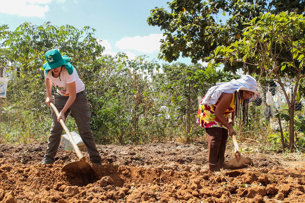 Famílias do MST no Vale do Rio Doce recebem curso de formação em agrofloresta, que usa tecnologia para o reflorestamento