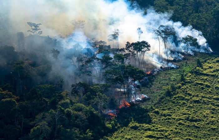 Segundo dados do Inpe, destruição da Amazônia aumentou 34% em 2020, o que representa a perda de mais de 10 mil km² de floresta