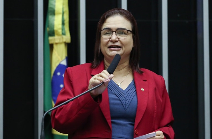 Rosa Neide, coordenadora da comissão, destacou projetos de lei que protegem o bioma, à fauna pantaneira e de auxílio emergencial à população atingida pelas queimadas