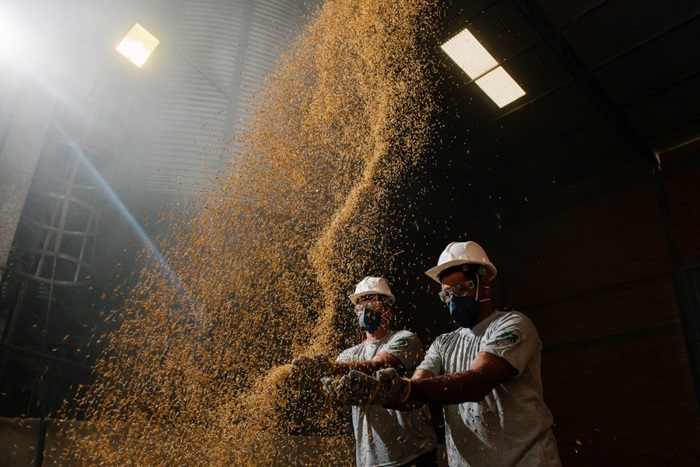 Assentamento Santa Rita de Cássia integra o complexo de produção do MST, o maior produtor de arroz agroecológico da América Latina