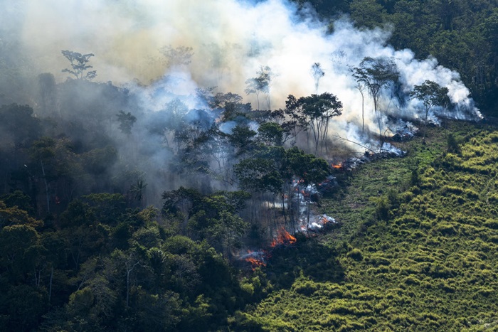 Lideranças indígenas representaram contra Bolsonaro no TPI devido ao avanço do desmatamento e das queimadas na Amazônia, ataques às populações indígenas e desmantelamento do Ibama e ICMBio
