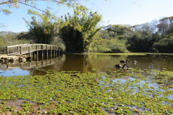 Problemas estruturais e a dispensa de servidores ameaçam todo o Jardim Botânico de Porto Alegre