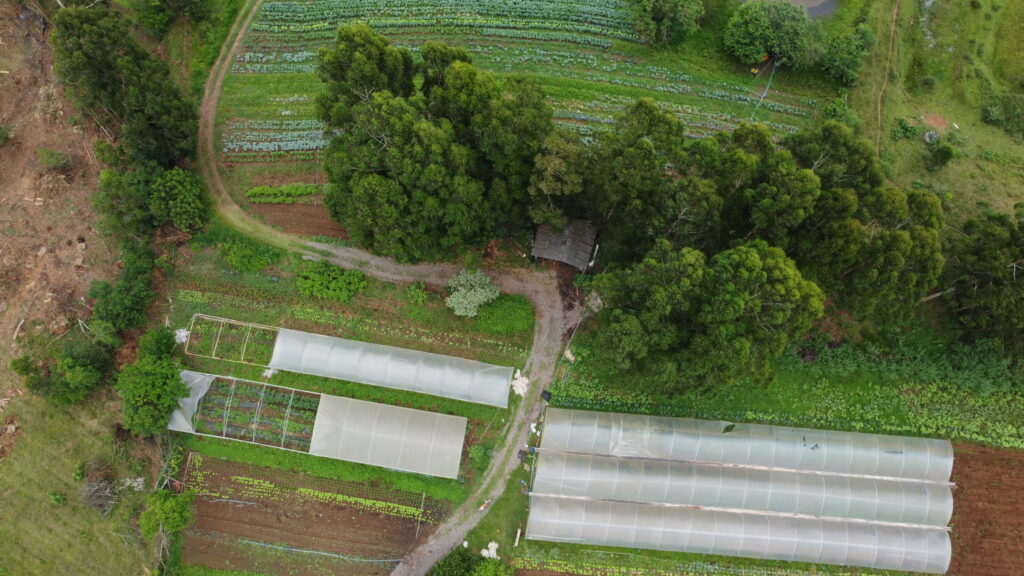 Vista aérea das estufas de hortaliças orgânicas