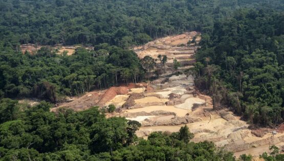 Desmate recorde na Amazônia | Foto: Observatório do Clima/Divulgação