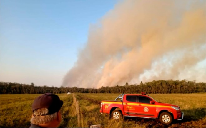 Pampa e Amazônia lideram queimadas no Brasil