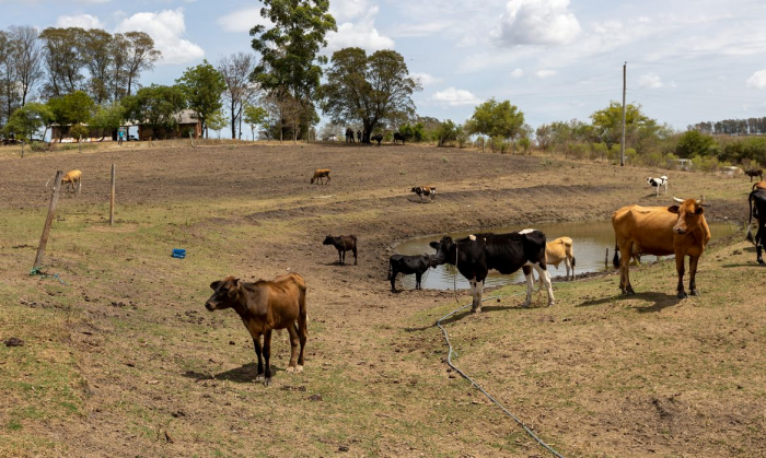 Governo libera reforço de R$ 430 milhões para mitigar a seca