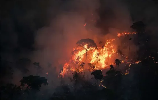 Amazônia concentrou 90% da área queimada no Brasil em janeiro e fevereiro | Foto: Nilmar Lage/Greenpeace