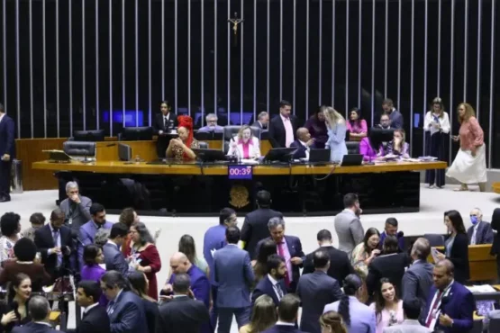 Pensão para órfãos do feminicídio aprovada na Câmara | Foto: Vinicius Loures/Câmara dos Deputados