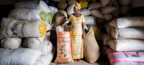 La discriminación de género conduce al hambre y a la pérdida de casi 1 billón de dólares en la actividad agrícola mundial