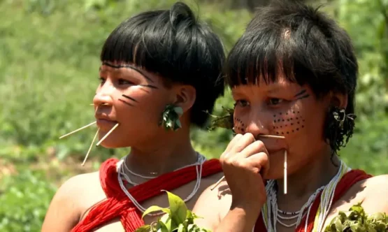 Censo 2022 Brasil tem 1,69 milhão de indígenas | Foto: EBC/TV Brasil